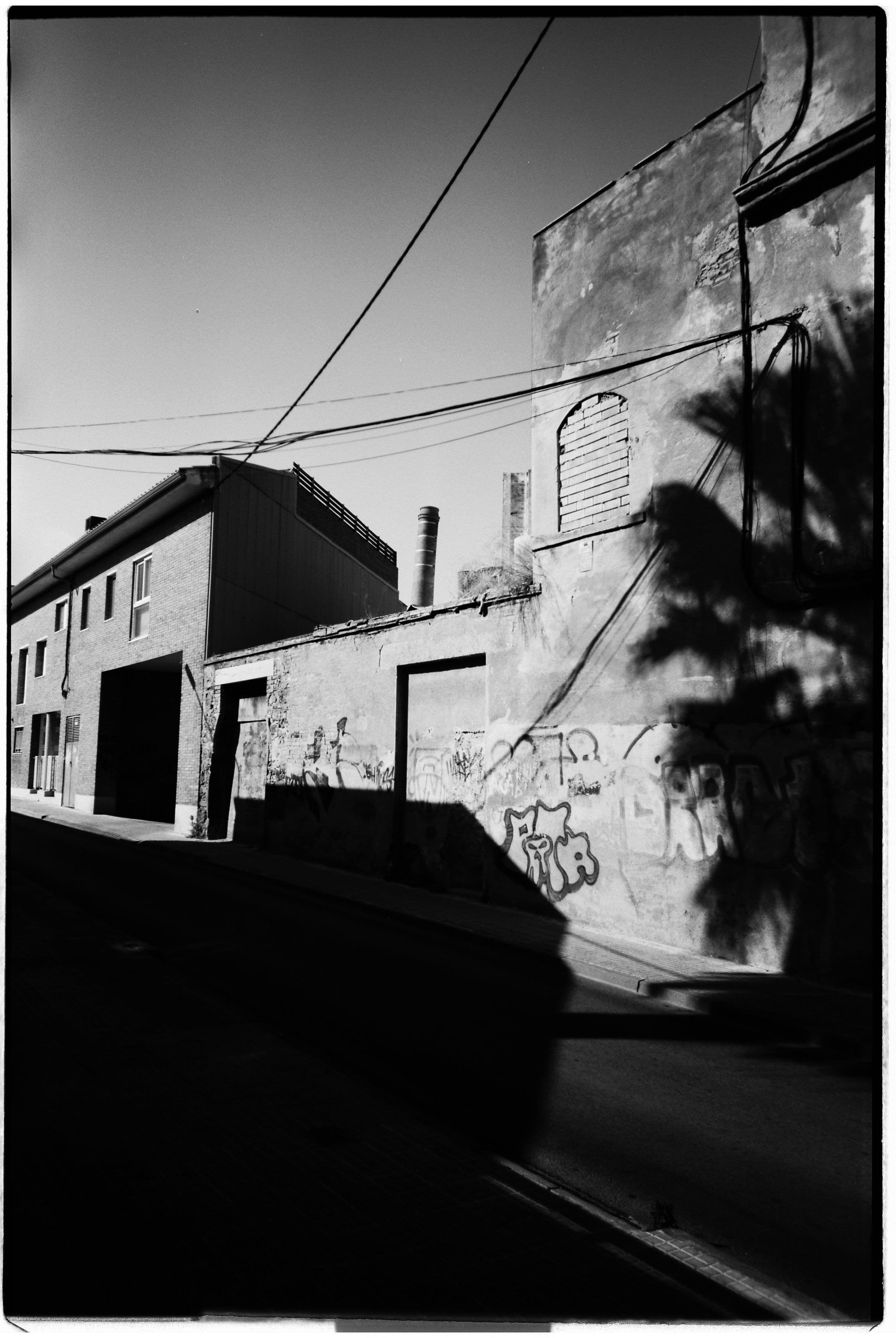 Tintes Olivé view 2